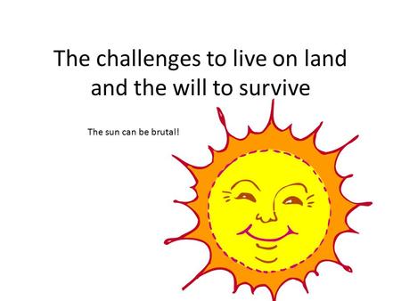 The challenges to live on land and the will to survive The sun can be brutal!