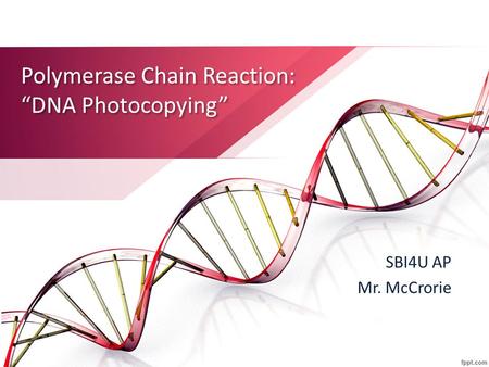 Polymerase Chain Reaction: “DNA Photocopying” SBI4U AP Mr. McCrorie.