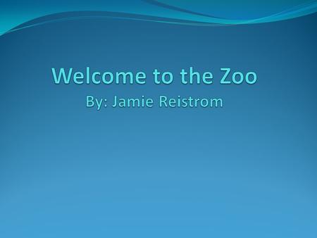 Creating a zoo animal Objectives: Students will be able to: create a zoo animal using information from the story At the Zoo and classroom materials.