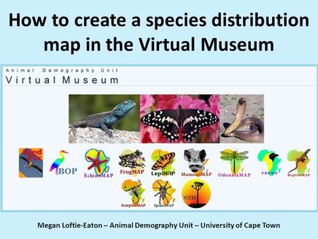 How to create a species distribution map in the Virtual Museum Megan Loftie-Eaton – Animal Demography Unit – University of Cape Town.