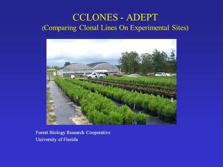 CCLONES - ADEPT ( Comparing Clonal Lines On Experimental Sites) Forest Biology Research Cooperative University of Florida.