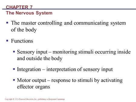 Copyright © 2004 Pearson Education, Inc., publishing as Benjamin Cummings CHAPTER 7 The Nervous System  The master controlling and communicating system.