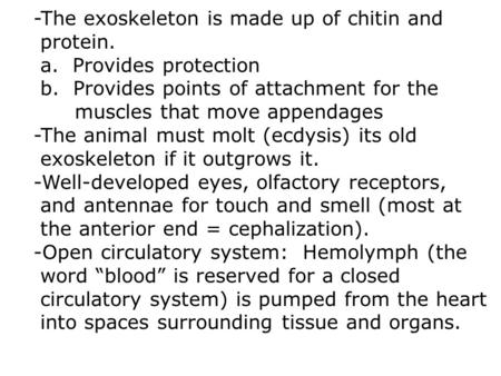 -The exoskeleton is made up of chitin and