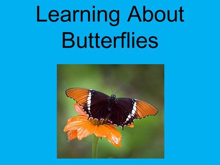 Learning About Butterflies Created by: Alexa Bryant 2 nd Grade Science – Standard 4: Life Science: Students will gain an understanding of Life Science.