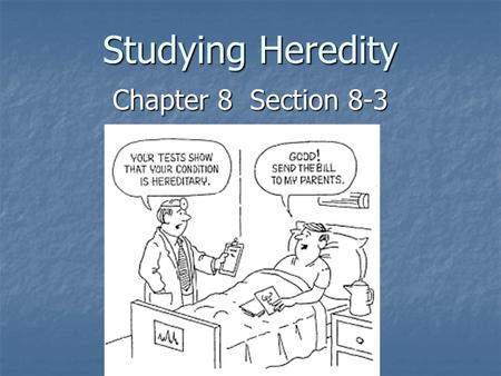 Studying Heredity Chapter 8 Section 8-3.