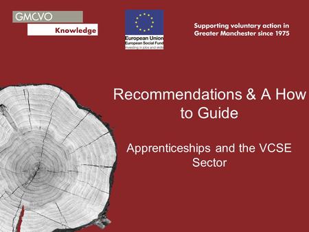 Recommendations & A How to Guide Apprenticeships and the VCSE Sector.