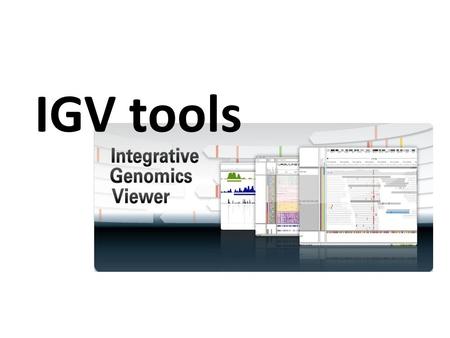 IGV tools. Pipeline Download genome from Ensembl bacteria database Export the mapping reads file (SAM) Map reads to genome by CLC Using the mapping.