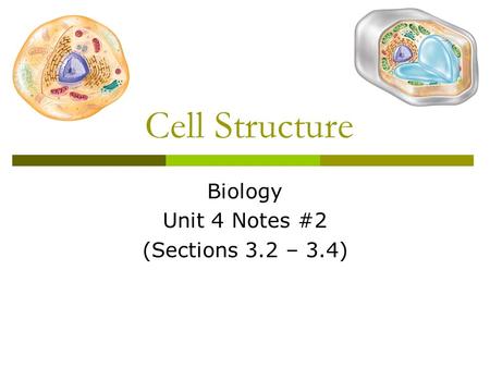 Biology Unit 4 Notes #2 (Sections 3.2 – 3.4)