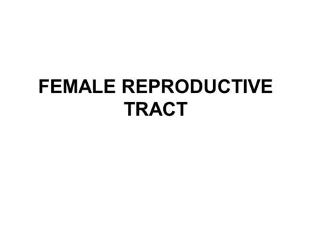 FEMALE REPRODUCTIVE TRACT. Brain – Hypothalamus - Pituitary Gland LH (Luteinizing Hormone) FSH (Follicle Stimulating Hormone) PROLACTIN TSH (Thyroid Stimulating.