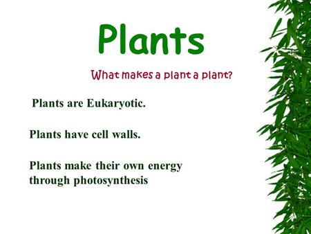 What makes a plant a plant?