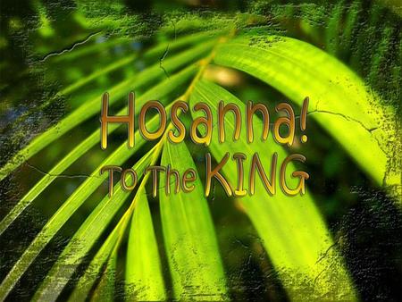 Palm Sunday - The King is here! 1.Jesus Declares His Kingship by Riding on a Donkey – 21:1-11.