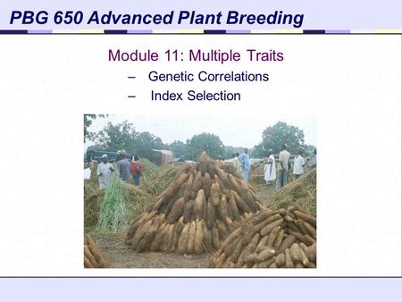 PBG 650 Advanced Plant Breeding