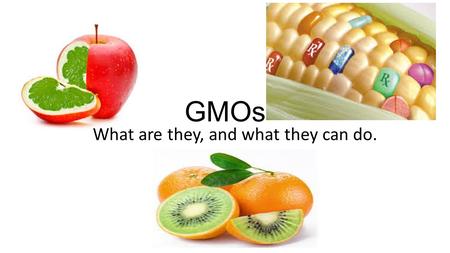 What are they, and what they can do. GMOs Identifying GMOs A GMO is an organism whose genome has been changed by the techniques of genetic engineering.