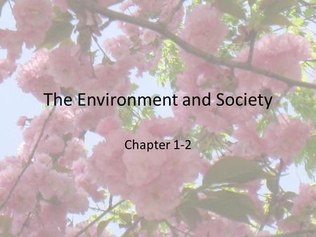 The Environment and Society Chapter 1-2 The Individual vs. Social Welfare Common resources – If we all use the resources without rules and regulations,