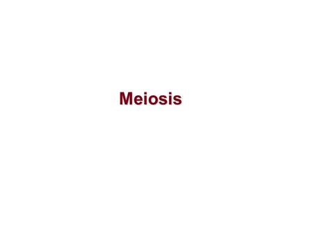 Meiosis. Meiosis - meiosis is the process by which one diploid eukaryotic cell divides to generate four haploid cells often called gametes. - meiosis.