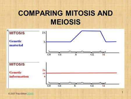 1 COMPARING MITOSIS AND MEIOSIS © 2007 Paul Billiet ODWSODWS.