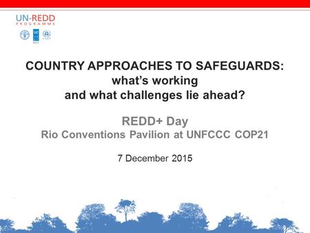 COUNTRY APPROACHES TO SAFEGUARDS: what’s working and what challenges lie ahead? REDD+ Day Rio Conventions Pavilion at UNFCCC COP21 7 December 2015.