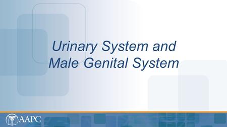 Urinary System and Male Genital System. CPT® copyright 2012 American Medical Association. All rights reserved. Fee schedules, relative value units, conversion.