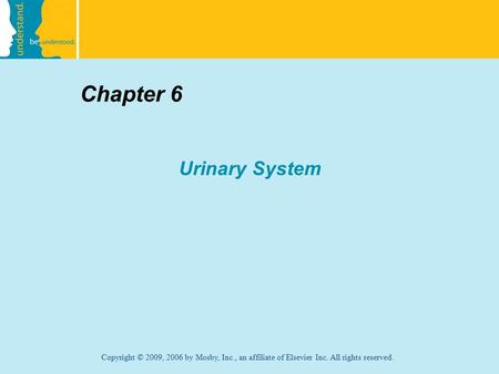 Copyright © 2009, 2006 by Mosby, Inc., an affiliate of Elsevier Inc. All rights reserved. Chapter 6 Urinary System.