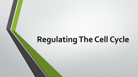 Regulating The Cell Cycle. Warm Up – The Cell Cycle The cell spends 80% of the time in _______________ and 20% of the time in ________________ What are.