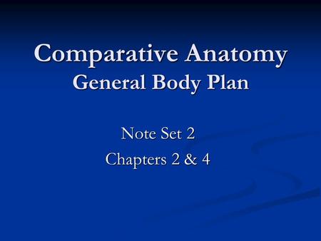 Comparative Anatomy General Body Plan