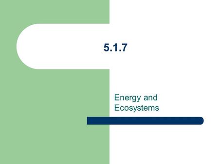 5.1.7 Energy and Ecosystems. 5.1.7.1 Revise GCSE knowledge of Ecosystems and the Environment Define terms used and give examples.