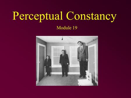 Perceptual Constancy Module 19. Perceptual Constancy Perceiving objects as stable or constant –having consistent lightness, color, shape, and size even.