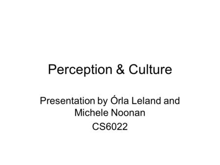 Perception & Culture Presentation by Órla Leland and Michele Noonan CS6022.