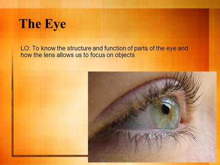 The Eye LO: To know the structure and function of parts of the eye and how the lens allows us to focus on objects.