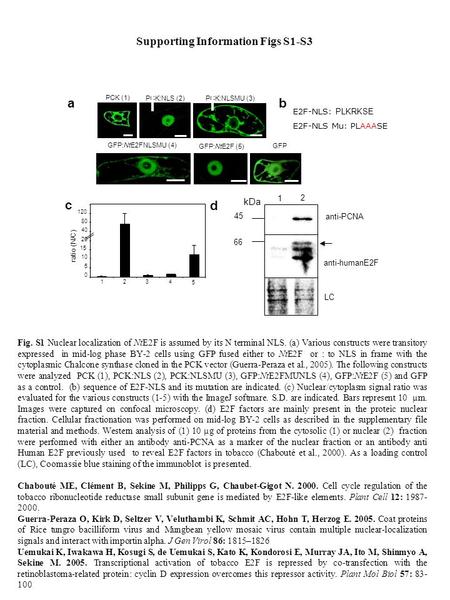 B c 80 1234 5 0 10 20 40 120 ratio (N/C) 5 15 d Fig. S1 Nuclear localization of NtE2F is assumed by its N terminal NLS. (a) Various constructs were transitory.