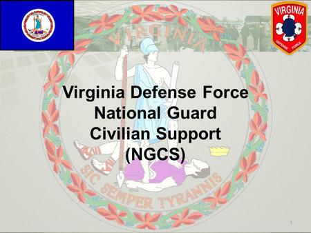 Virginia Defense Force National Guard Civilian Support (NGCS)