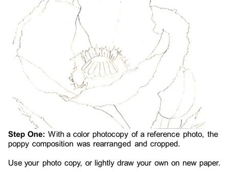 Step One: With a color photocopy of a reference photo, the poppy composition was rearranged and cropped. Use your photo copy, or lightly draw your own.