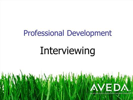 Professional Development Interviewing. Interviewing Skills Making a good 1 st impression is critical to getting that dream job Most important thing is.