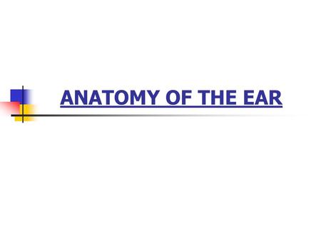 ANATOMY OF THE EAR. Pinna External Auditory Meatus.