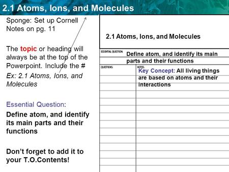 Sponge: Set up Cornell Notes on pg