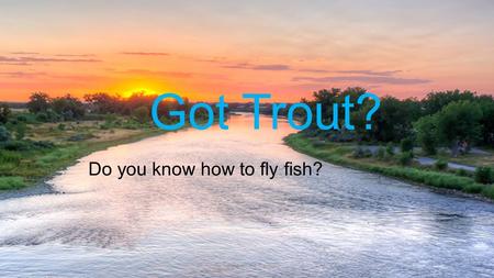 Got Trout? Do you know how to fly fish? Fly fishing on the Big Horn1.