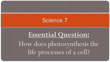 Essential Question: How does photosynthesis the life processes of a cell? Science 7.