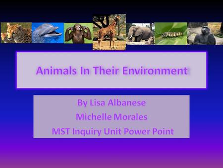 ProducersConsumersDecomposers Trees Plants Flowers Dogs Tigers Pandas Bacteria Millipede Fungi/Mushroom This is a graphic organizer that we used in lesson#2.