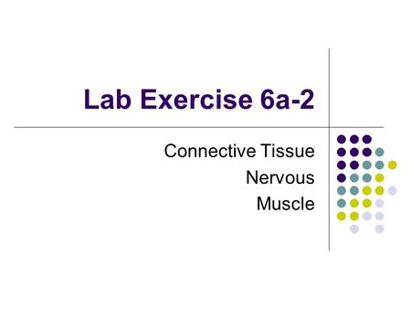 Lab Exercise 6a-2 Connective Tissue Nervous Muscle.