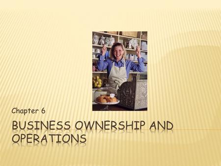 Chapter 6.  Sole Proprietorship  In USA 3/4 businesses have no employees  California led solo proprietorship, closely followed by fishing states Alaska.