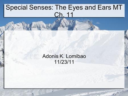 Special Senses: The Eyes and Ears MT Ch. 11 Adonis K. Lomibao 11/23/11.