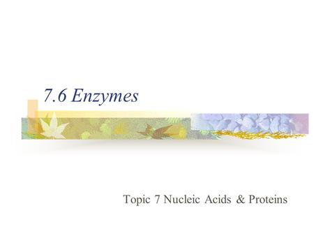 7.6 Enzymes Topic 7 Nucleic Acids & Proteins. Metabolic Pathways Metabolic pathways have these features: They consist of many chemical reactions that.