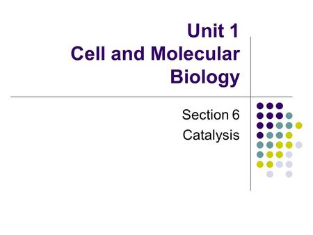 Unit 1 Cell and Molecular Biology Section 6 Catalysis.