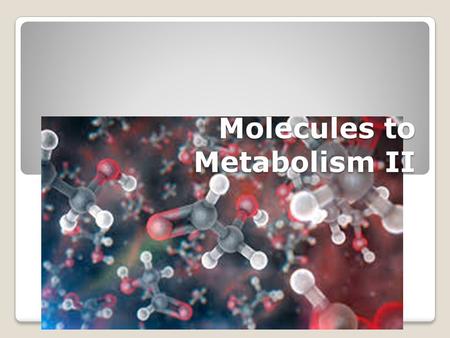 Molecules to Metabolism II. Review In the previous Powerpoint we looked at ◦The elements in living organisms ◦The importance of carbon ◦The major molecules.