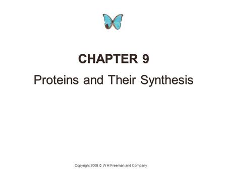 CHAPTER 9 Proteins and Their Synthesis CHAPTER 9 Proteins and Their Synthesis Copyright 2008 © W H Freeman and Company.