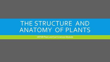 THE STRUCTURE AND ANATOMY OF PLANTS IAFNR Plant and Soil Sciences Module.