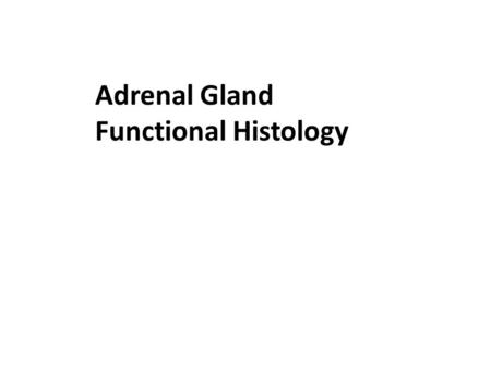 Adrenal Gland Functional Histology.