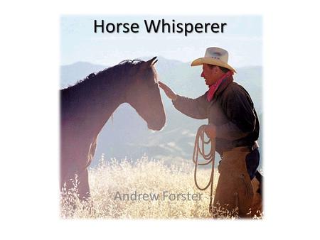 Horse Whisperer Andrew Forster. What is a Horse Whisperer?