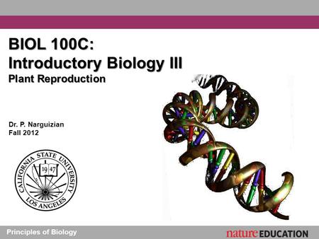 Principles of Biology BIOL 100C: Introductory Biology III Plant Reproduction Dr. P. Narguizian Fall 2012.