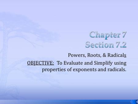 Powers, Roots, & Radicals OBJECTIVE: To Evaluate and Simplify using properties of exponents and radicals.